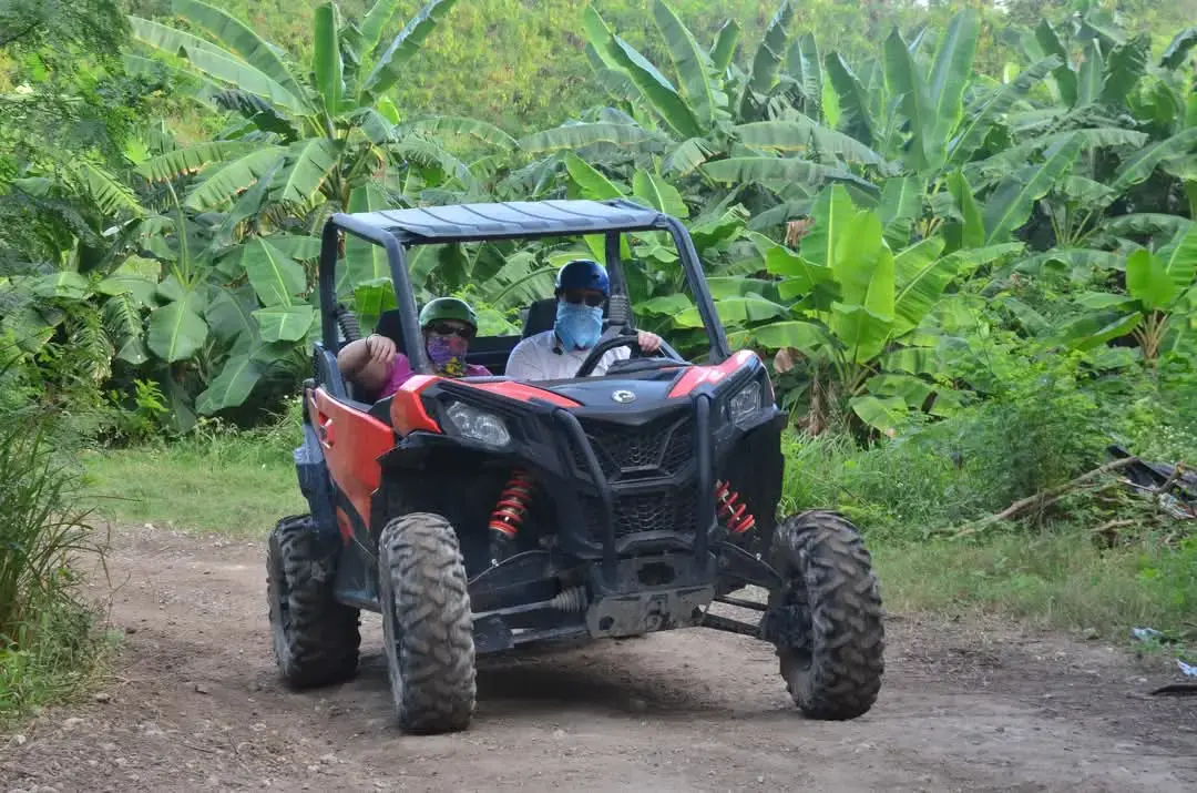 Buggy adventure
