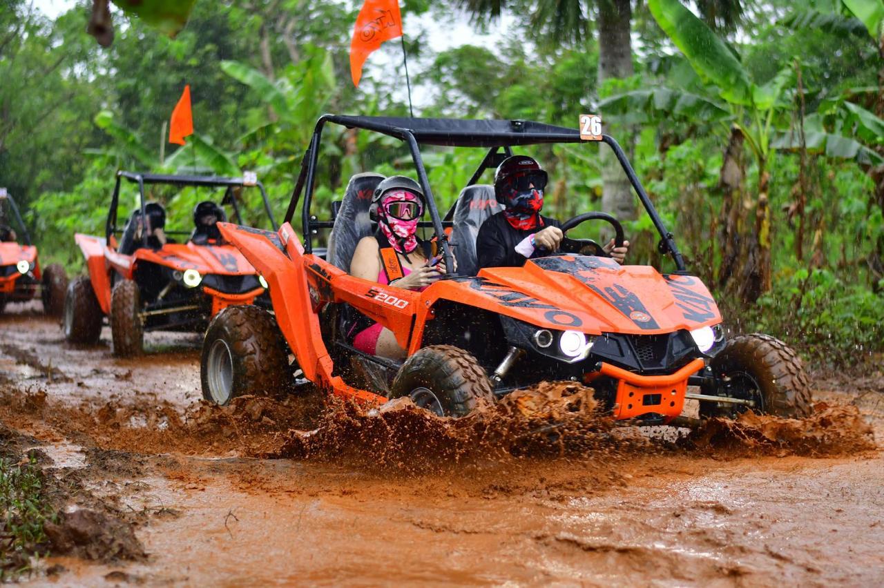 Buggies Adventure