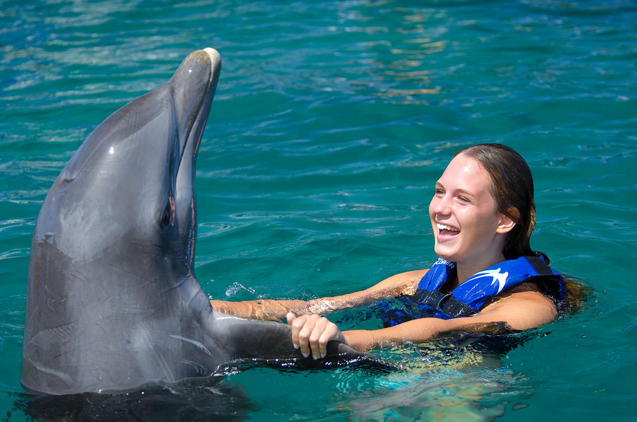 Dolphin Encounter