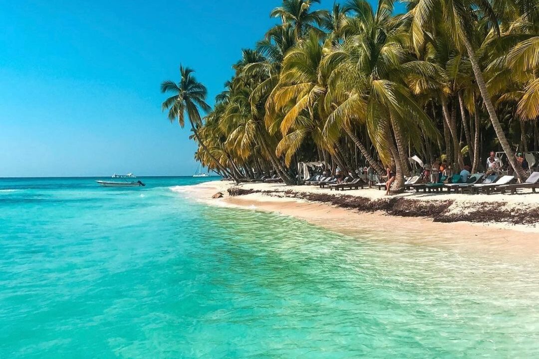 Saona Luxury 4